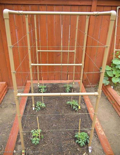 Vegetable Garden Raised Beds Tomato Trellis Raised Garden Beds