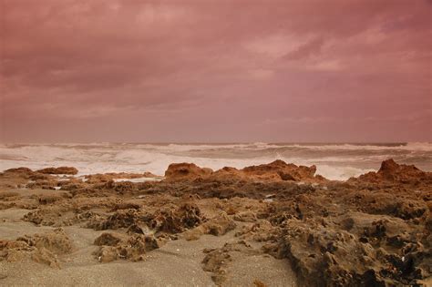 Reliable septic services across west central fl. House of Refuge Beach, Stuart FL | The rocky outcroppings ...