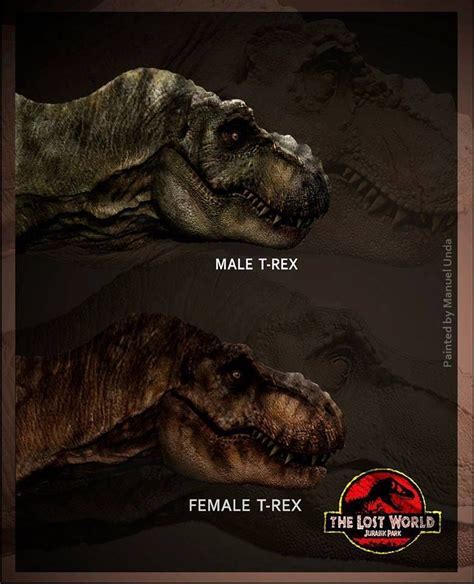 Male Female T Rex S Dinosaurios Jurassic Park Dinosaurios Jurassic My Xxx Hot Girl