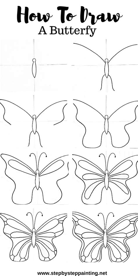 details 80 butterfly pictures to draw easy latest nhadathoangha vn