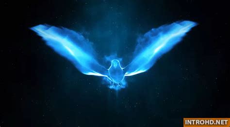 Custom flags (after effects template). VIDEOHIVE MAGIC BIRD LOGO » Free After Effects Templates ...