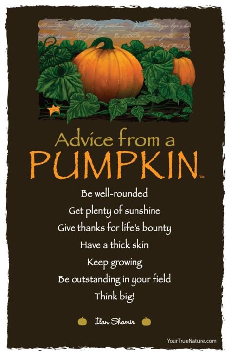 Pin By Roberta On Pumpkin Season Pumpkin Quotes Happy Fall Yall
