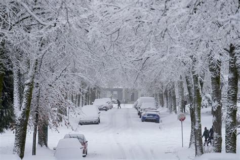 First ‘significant Snowfall Over Alberta Globalnewsca