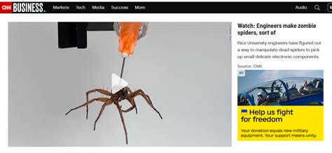 necrobotic spiders are still being experimented upon misbar