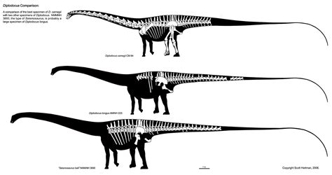 They would class it as '' seismosaurus ''. Блогът на valentint :: Encyclopedia Largest prehistoric ...