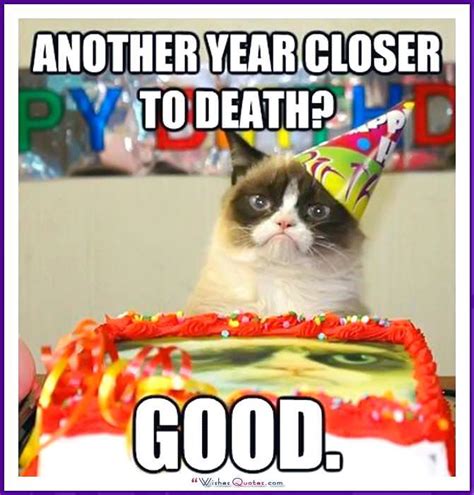 Happy Birthday Memes With Funny Cats Dogs And Cute Animals