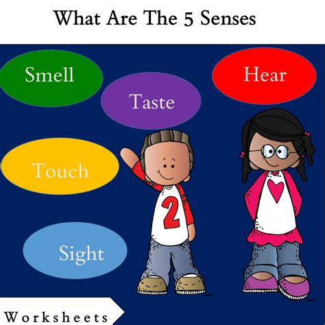 What Are 5 Senses Made By Teachers