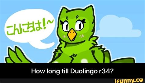 How Long Till Duolingo R34 How Long Till Duolingo R34 Ifunny