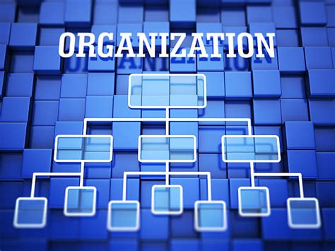 Royalty Free Organization Chart Pictures Images And Stock Photos Istock