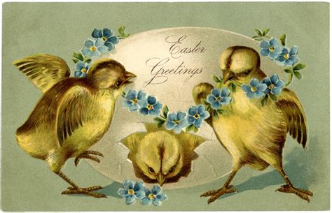 Vintage Easter Chicks Image - Adorable! - The Graphics Fairy