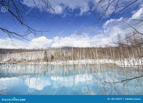 Blue Pond In Biei Hokkaido Japan Stock Image Image Of Countryside