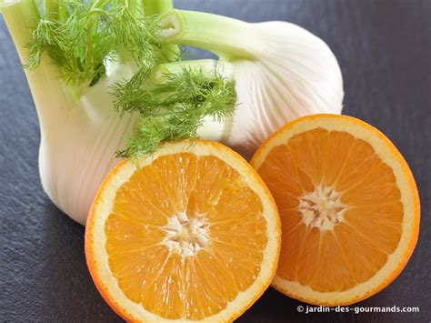 Salade Fenouils et Oranges