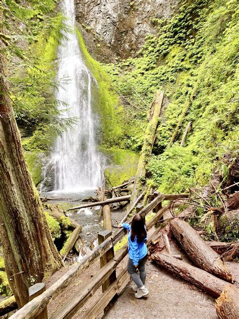 Marymere Falls Hike Olympic National Park 3 • A Passion And A Passport