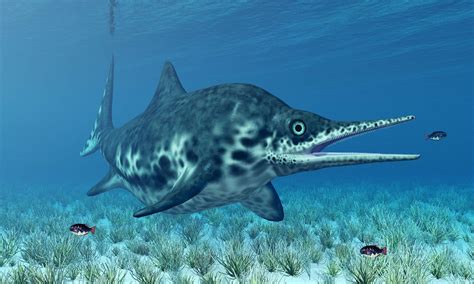 The Largest Sea Dinosaur In History A Z Animals