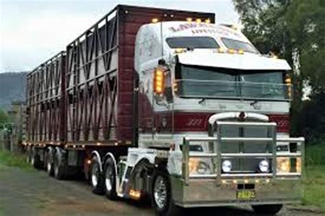 Livestock Truck Driver Driver Jobs Australia