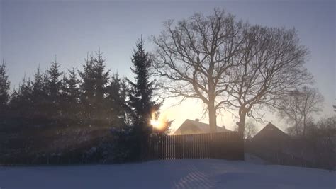 Early Winter Morning Sunrise In Stock Footage Video 100 Royalty Free