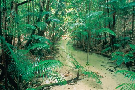Sunlover Holidays Top 10 Attractions On Fraser Island