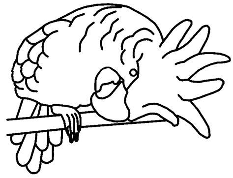 Coloring Page Parrot Animal Coloring Pages 4