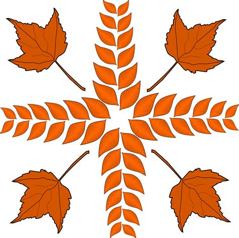 Foliage Dry Leaves Autumn · Free Vector Graphic On Pixabay