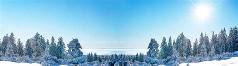 Stunning Panorama Of Snowy Landscape In Winter In Black Forest Snow
