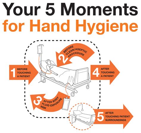 5 Moments For Hand Hygiene Hand Hygiene Hand Hygiene