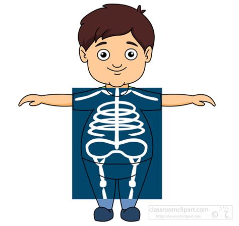 Medical Clipart Taking An X Ray Showing Bones Classroom Clipart