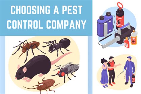 There is a pest control company in rexburg idaho called affordable pest control inc. Need To Choose A Pest Control Company? Don't Make These ...