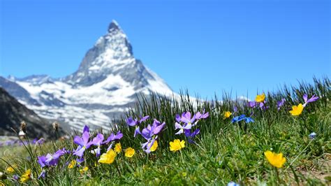 Nature Landscape Mountains Switzerland Matterhorn Depth Of Field