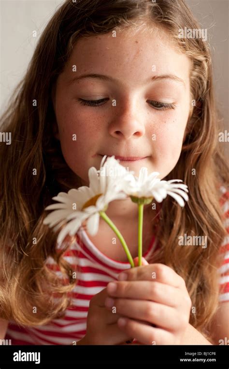 Little Girl 7 Years Old Smelling Daisies Stock Photo Alamy