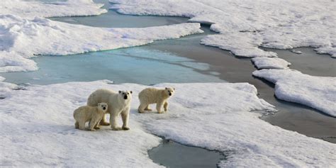 Records For Arctic Ice Melt Greenhouse Gas Emissions In 2012 As World