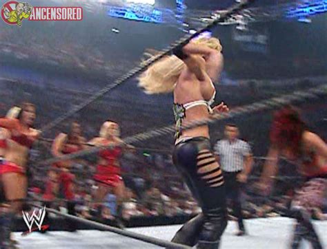 Naked Michelle Mccool In Wwe Survivor Series Hot Sex Picture