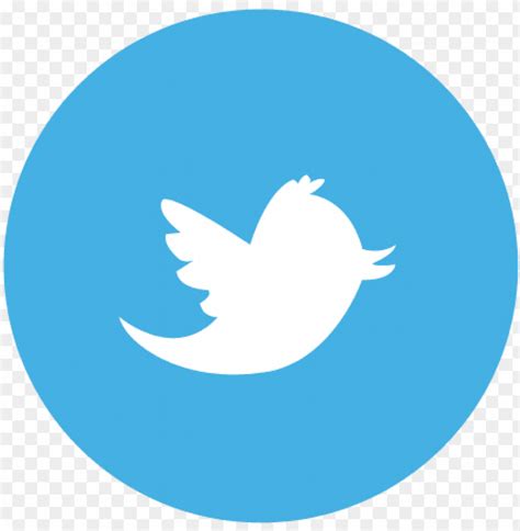 Jul 08, 2021 · get roblox codes and news as soon as we add it by following our pgg roblox twitter account! New Twitter Bird Transparent Roblox
