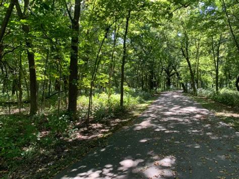 Best Hikes And Trails In Mckinley Woods County Forest Preserve Alltrails
