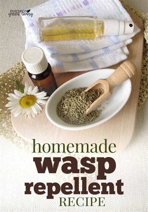 15 Best Wasp Repellent Plants Five Spot Green Living