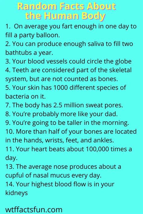 24 Random Facts About The Human Body Funny Fun Facts