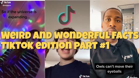 Weird And Wonderful Tiktok Facts Compilation Part 1 Youtube