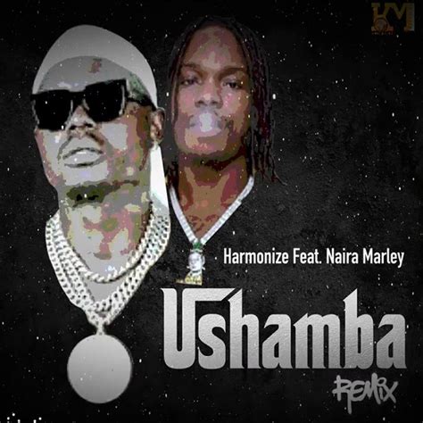 Audio Harmonize Ushamba Remix Ft Naira Marley Mp3 Download — Citimuzik