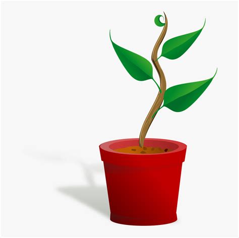 Clip Art Church Growth Free Hd Png Download Kindpng