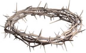 Download Free Crown Of Thorns PNG images, Transparent Rose Thorns ...