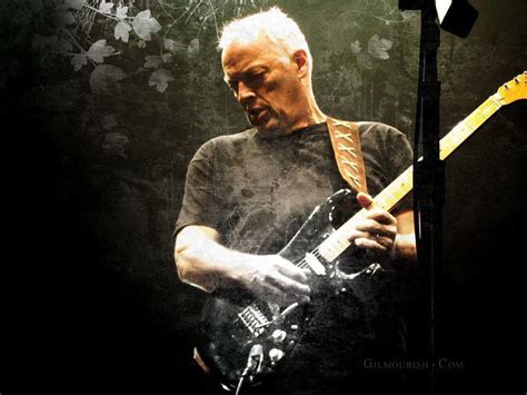 David Gilmour Wallpapers Hd Wallpaper Cave