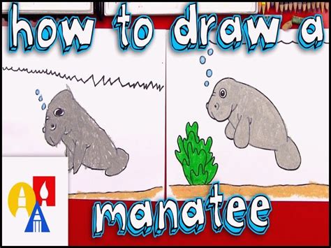 New How To Draw A Manatee Kids Art Projects Manatee Manatee Art