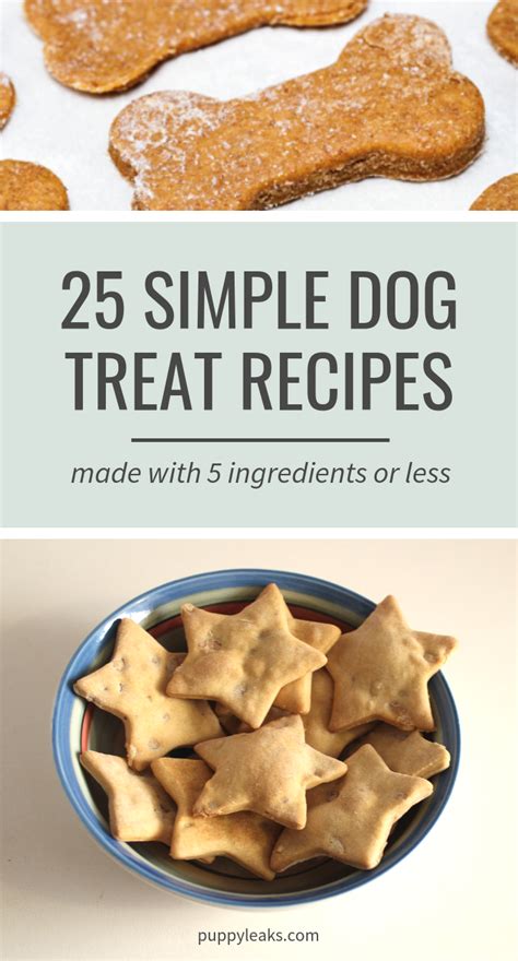 Easy Diabetic Dog Treat Recipes Besto Blog