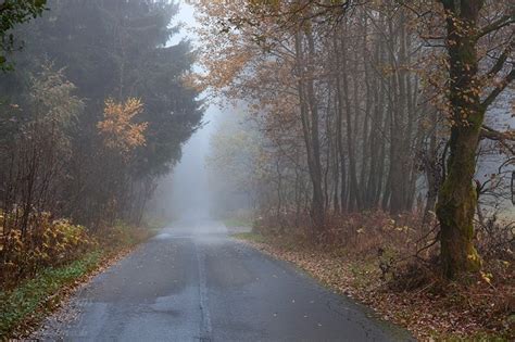 Foggy Road Harz Germany Dave Derbis Photography