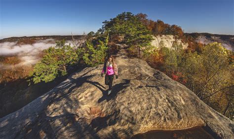 Auxier Ridge Trail Red River Gorge Kentucky Hiking Illustrated