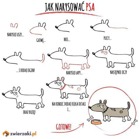 Rysunek Psa Szkic Zwierzęcia Krok Po Kroku Jak Narysować Psa