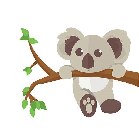 Koala Illustrations Royalty Free Vector Graphics And Clip Art Istock