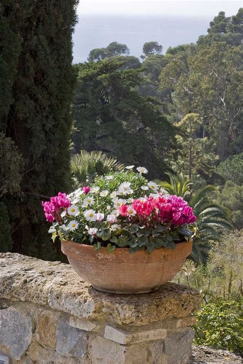 Rita Crane Photography Italian Garden Ventimiglia Ii Italian Garden