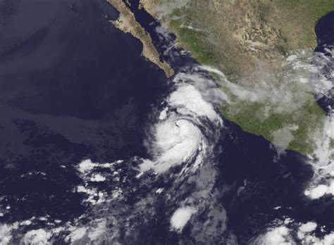 News 8 presents hurricane season 2021: Hurricane tracker: Satellite image shows FOUR cyclones ...