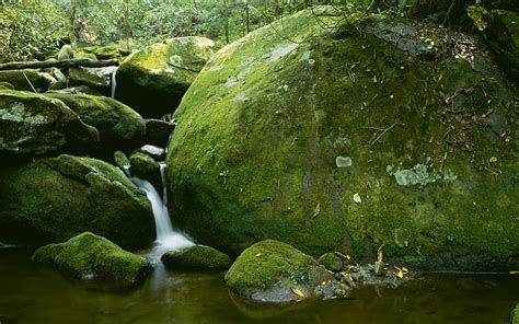 Rock Stones Moss Waterfall Timelapse Stream Hd Nature Stones Rock