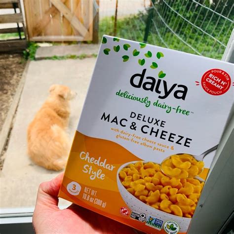 Daiya Cheddar Style Deluxe Cheezy Mac Review Abillion